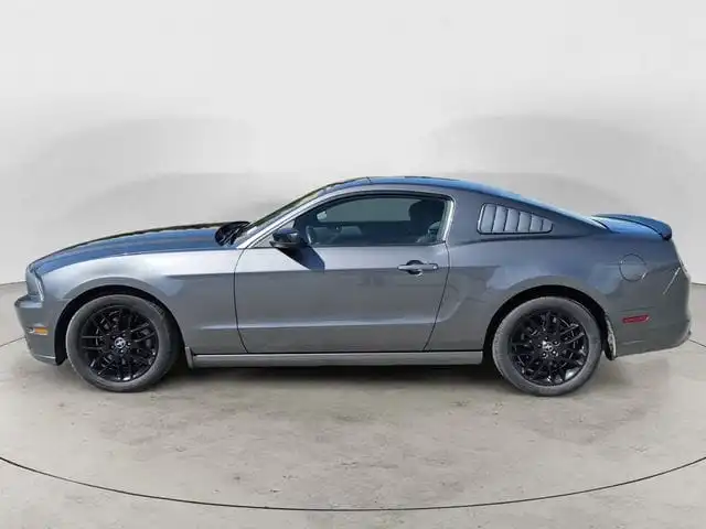2014 Ford Mustang V6's photo