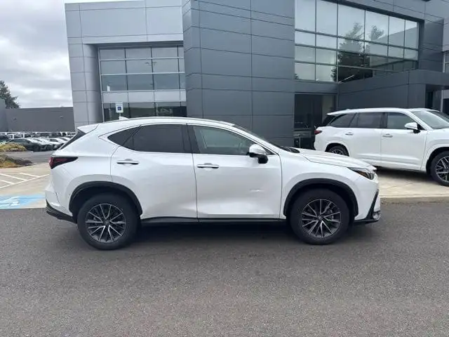2024 Lexus NX 350 250 AWD's photo