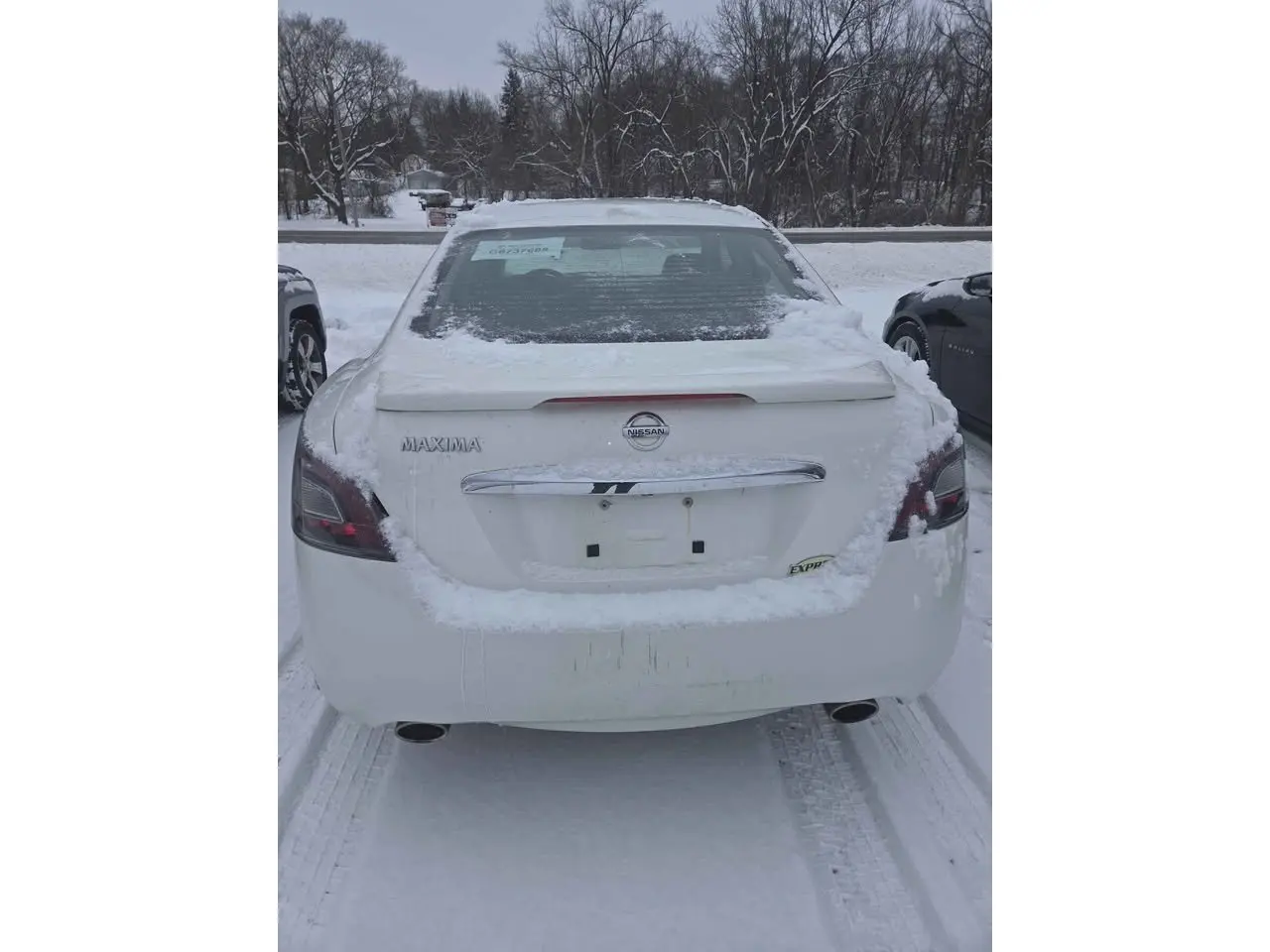 2014 Nissan Maxima 3.5 SV photo 5