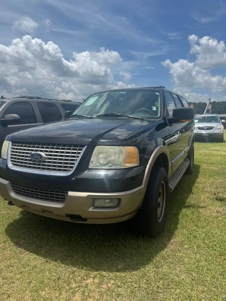 2004 Ford Expedition Eddie Bauer 4x4's photo