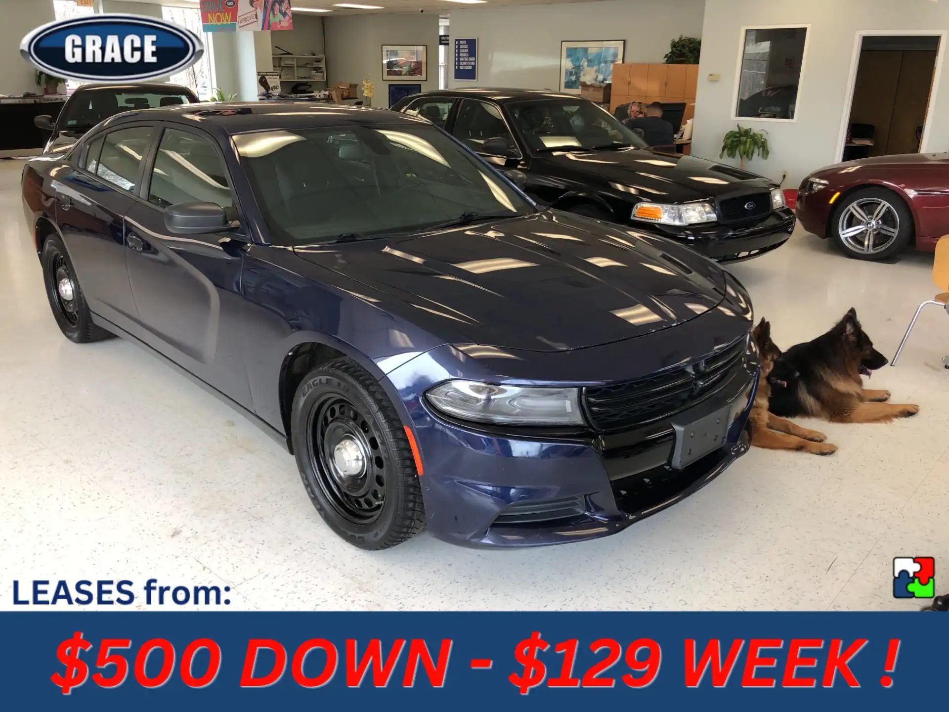 2016 Dodge Charger 5.7 Police Package 4WD (Fleet)'s photo