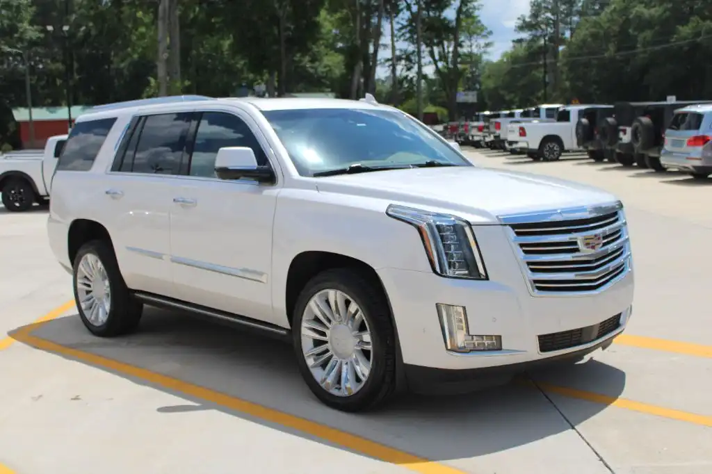 2020 Cadillac Escalade 2WD Platinum's photo