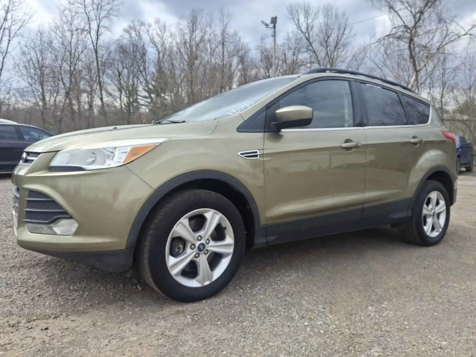 2013 Ford Escape SE 4WD's photo