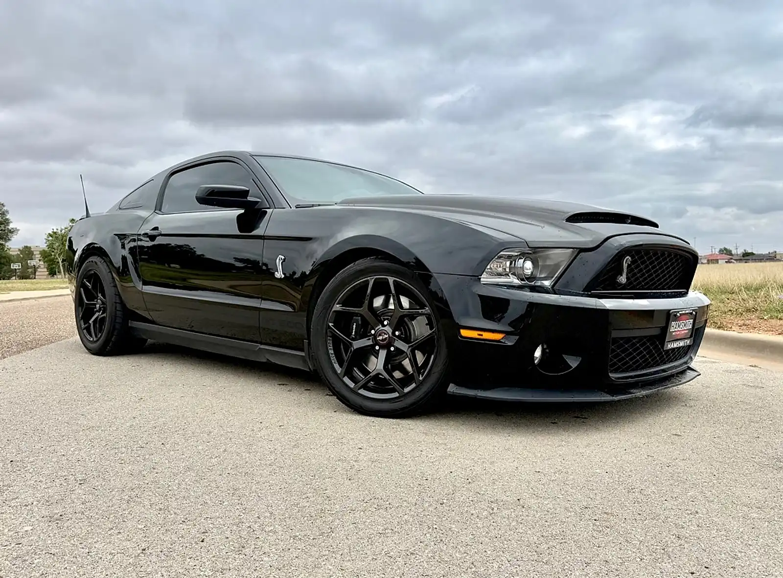 2012 Ford Mustang Shelby GT500's photo