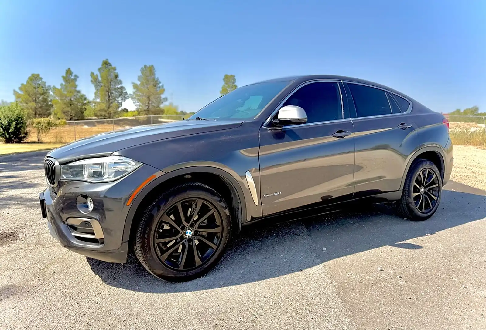 2017 BMW X6 sDrive35i's photo