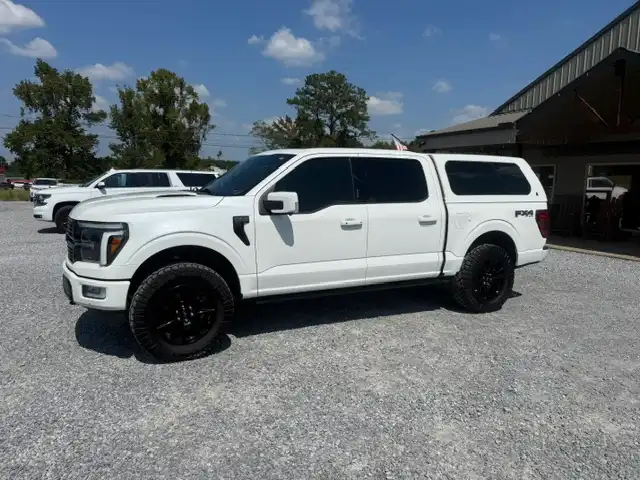 2024 Ford F-150 Platinum 4WD SuperCrew 145 in's photo