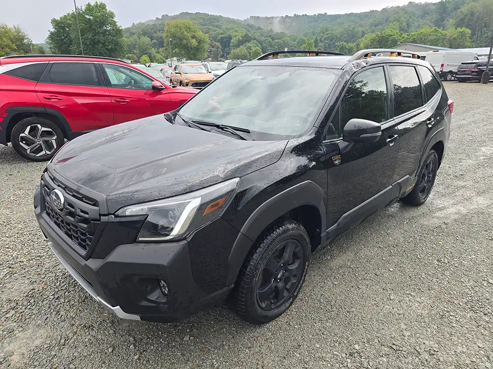 2024 Subaru Forester Wilderness's photo