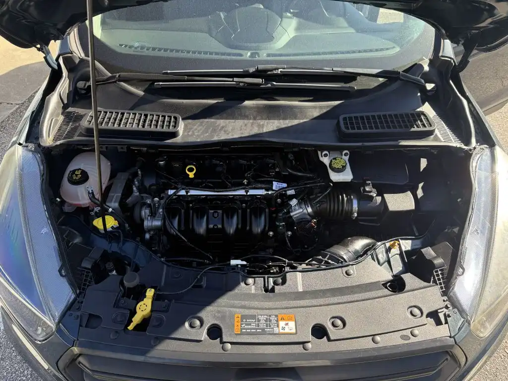 2019 Ford Escape S's photo