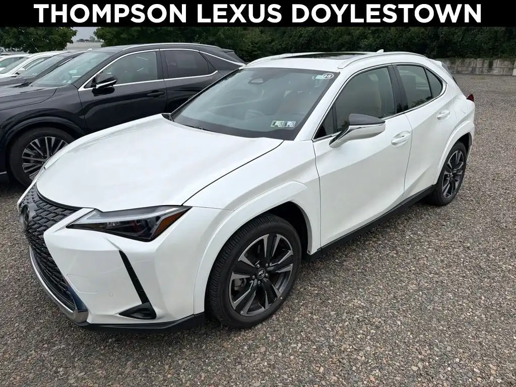 2025 Lexus UX 300h 300h Premium AWD's photo
