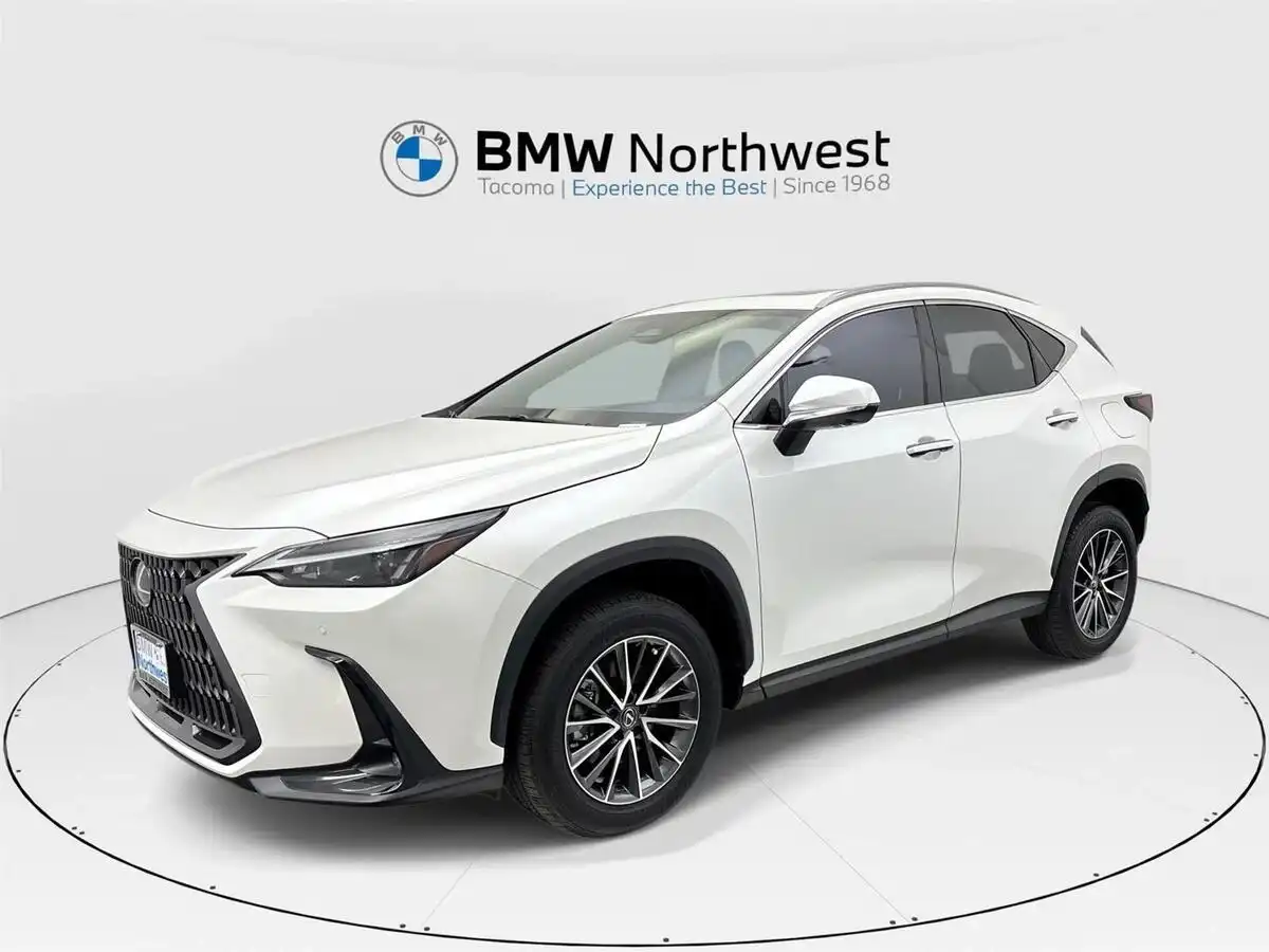 2024 Lexus NX 350 350 Premium AWD's photo