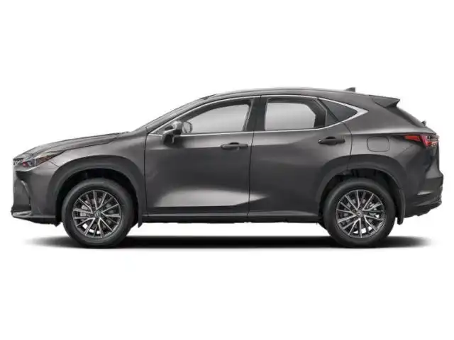 2025 Lexus NX 350h 350h Premium AWD's photo