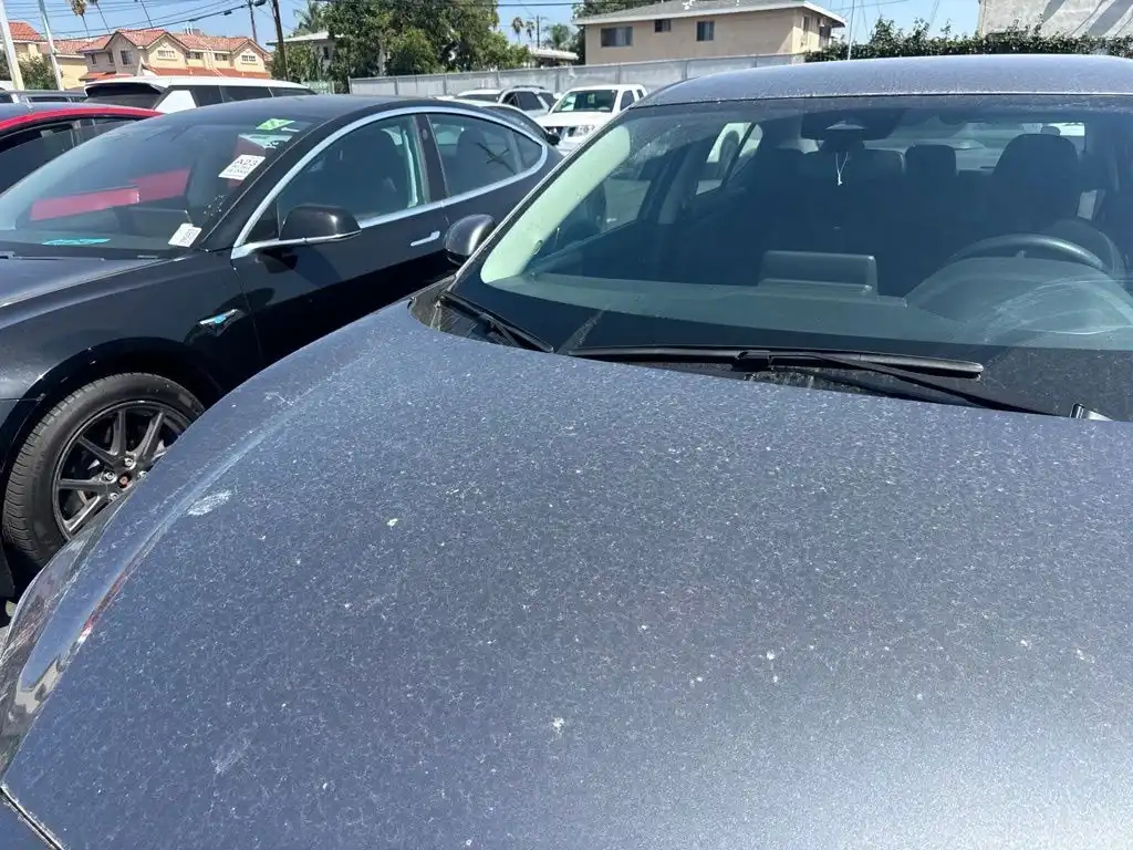 2024 Nissan Sentra SV CVT's photo