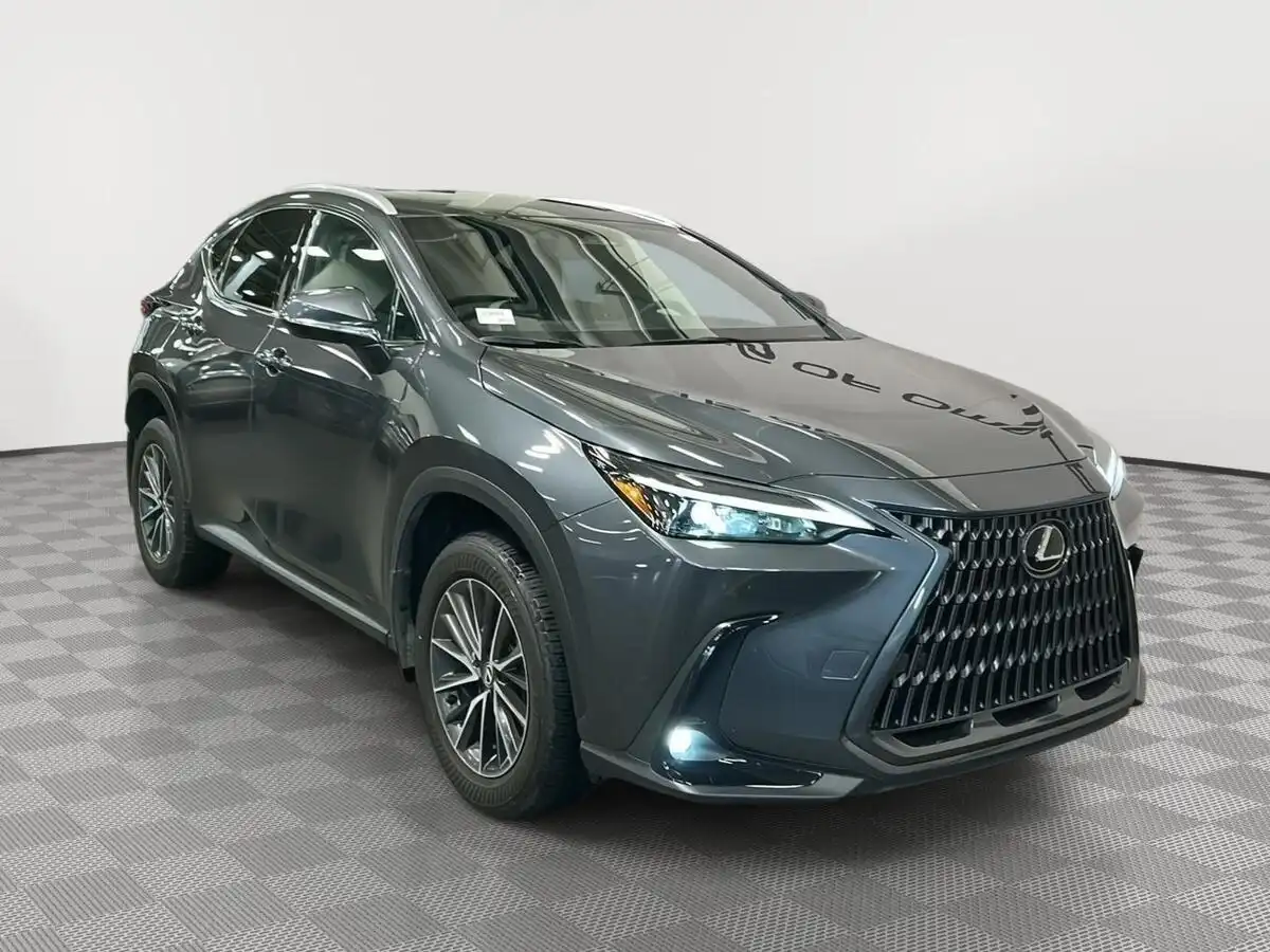 2024 Lexus NX 350 350 Premium AWD's photo