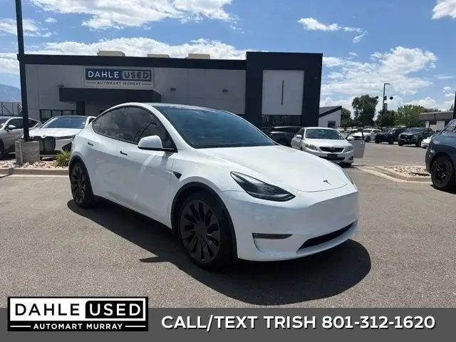 2022 Tesla Model Y Performance Dual Motor All-Wheel Drive's photo