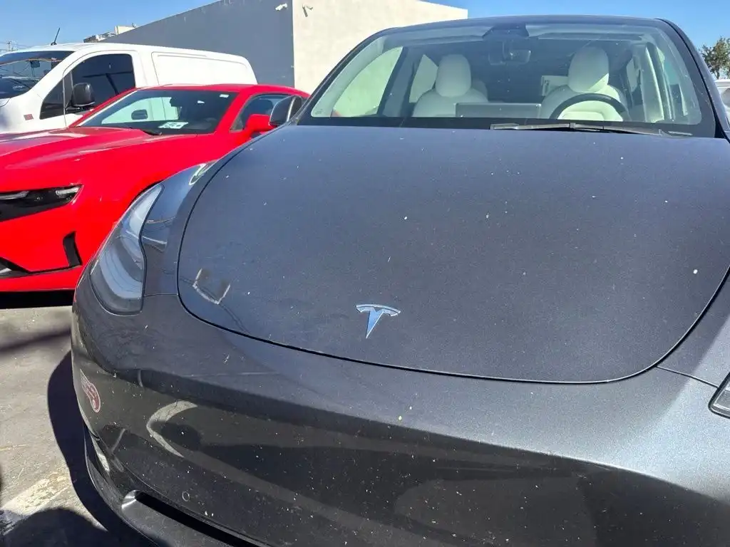 2021 Tesla Model Y Standard Range's photo