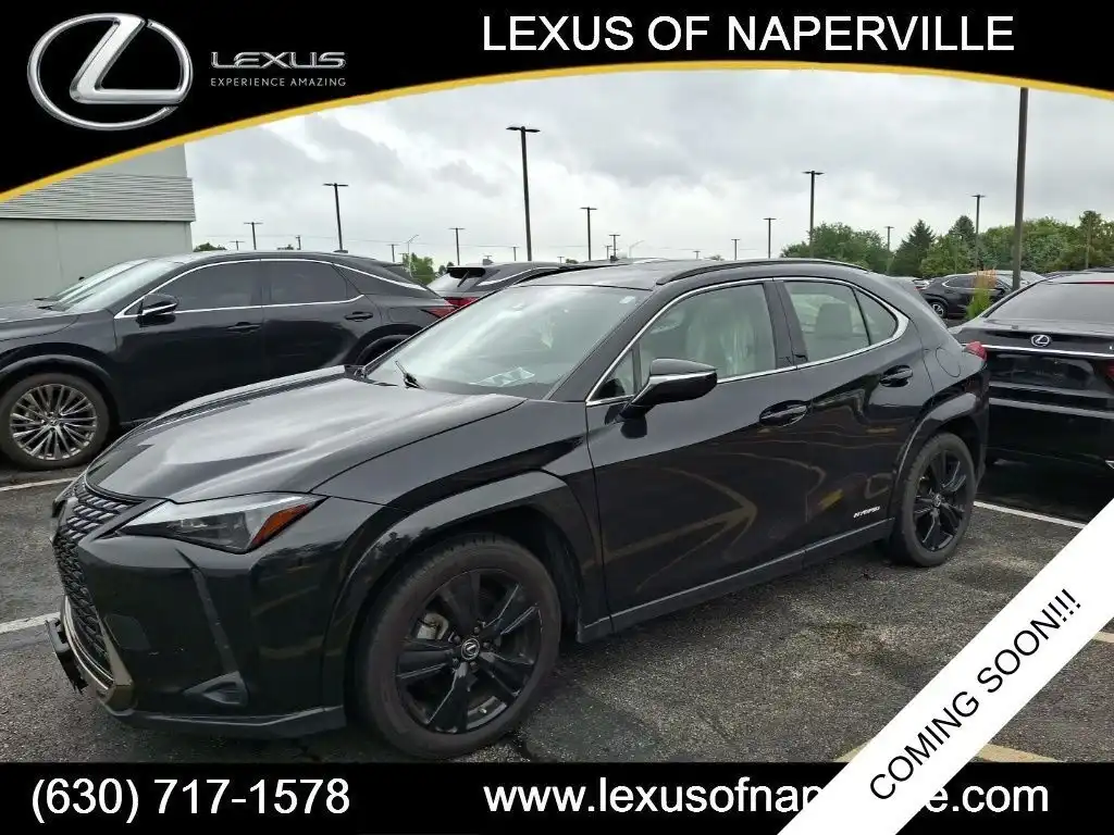 2021 Lexus UX 300h 250h AWD's photo