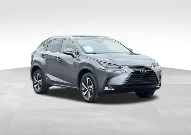 2020 Lexus NX 350h 300h AWD's photo