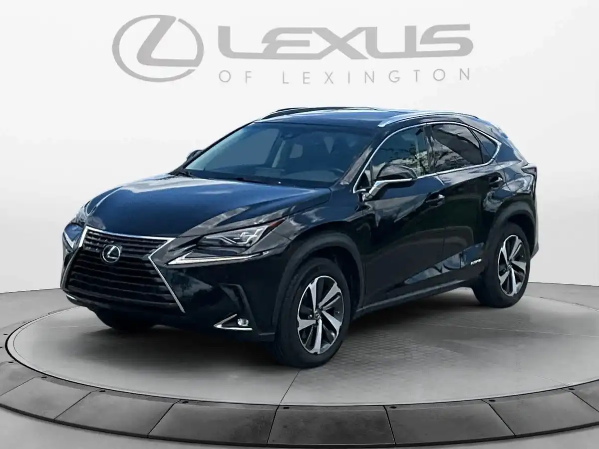 2018 Lexus NX 350 300h AWD's photo