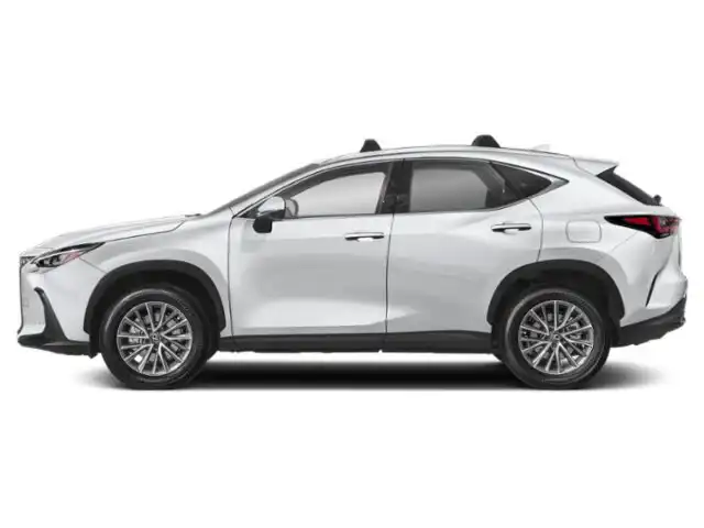 2024 Lexus NX 350 350 Premium AWD's photo