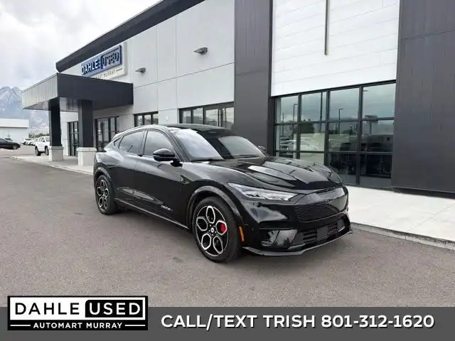 2023 Ford Mustang-Mach-e GT's photo