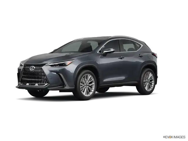 2025 Lexus NX 350 350 Premium AWD's photo