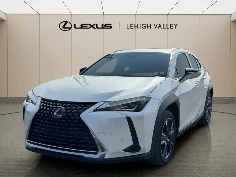 2021 Lexus UX 300h 250h AWD's photo