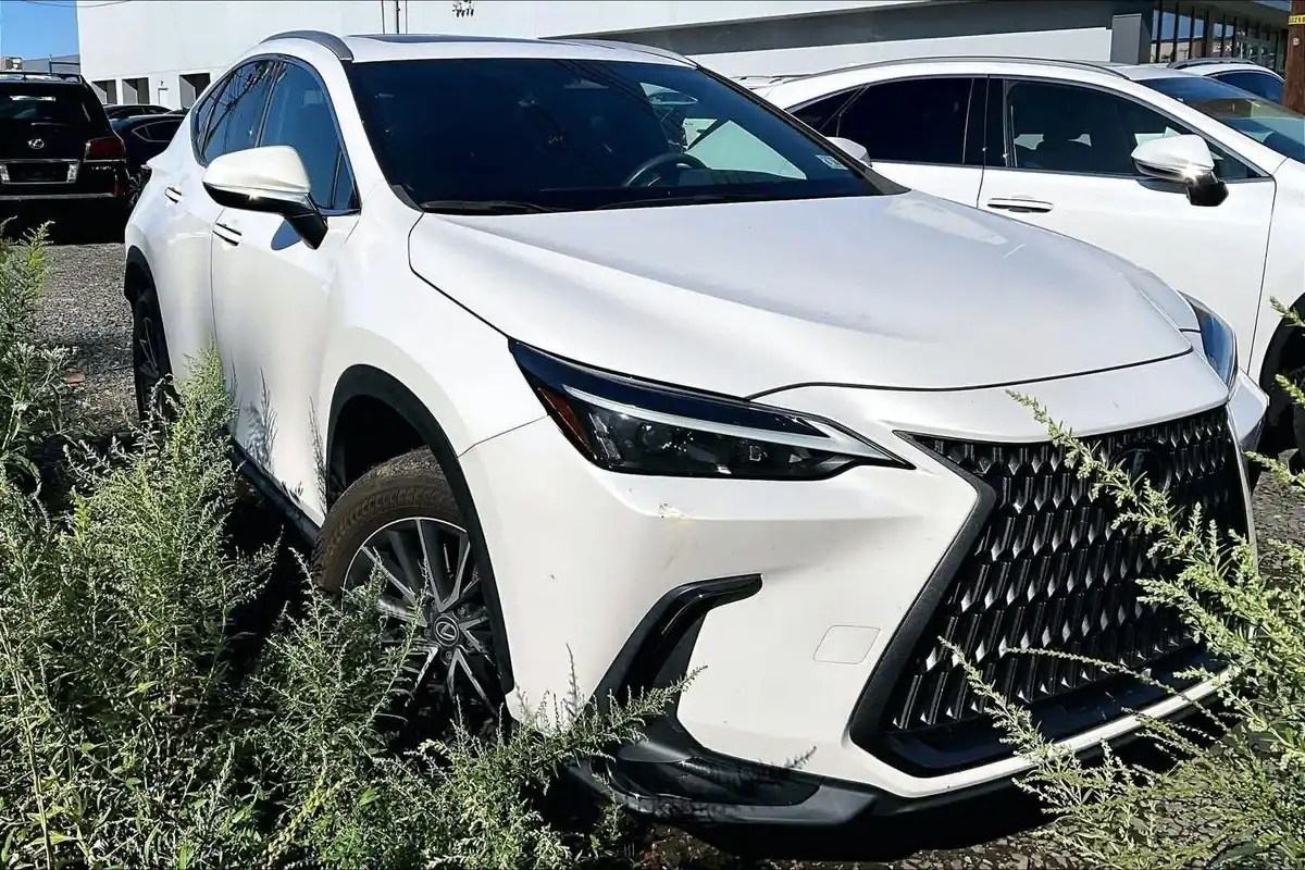 2024 Lexus NX 350 350 AWD's photo