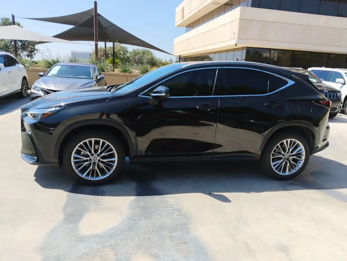 2025 Lexus NX 350 350 Premium AWD's photo