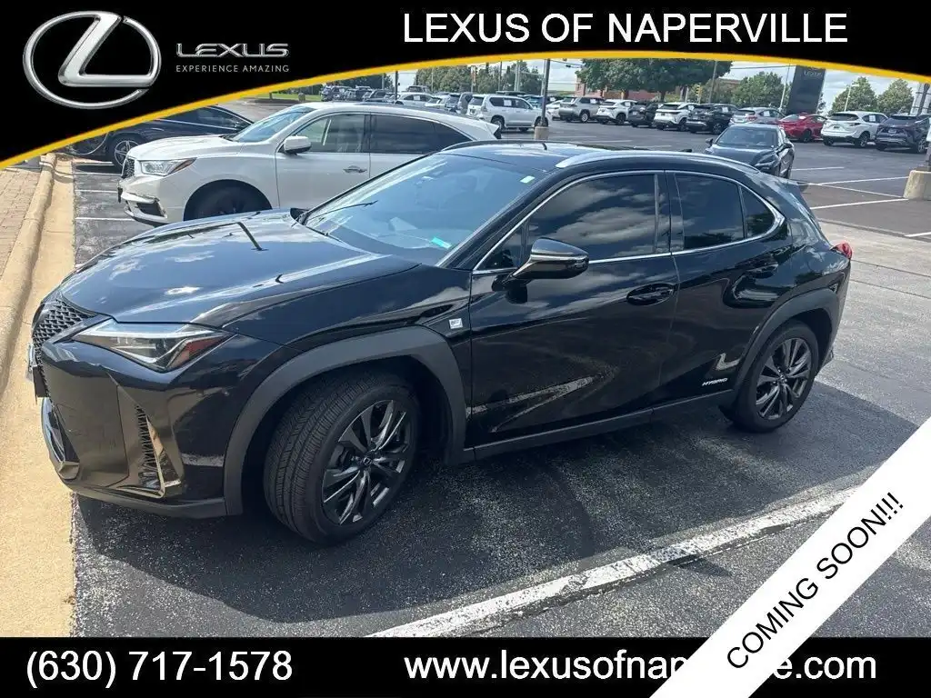 2020 Lexus UX 300h 250h F SPORT AWD's photo