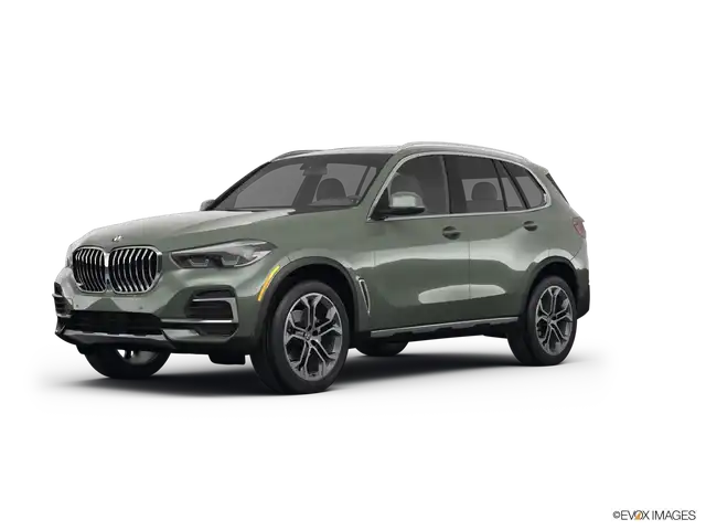 2023 BMW X5 xDrive40i's photo