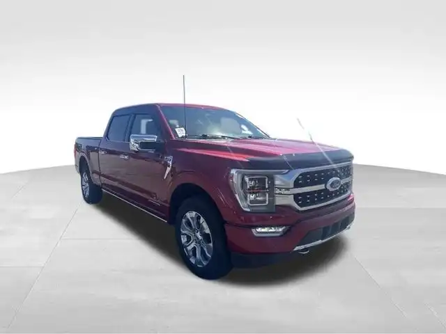 2022 Ford F-150 Platinum 4WD SuperCrew 6-1/2' Box's photo
