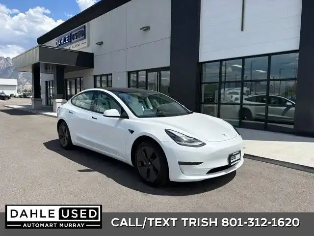 2021 Tesla Model 3 Standard Range Plus's photo