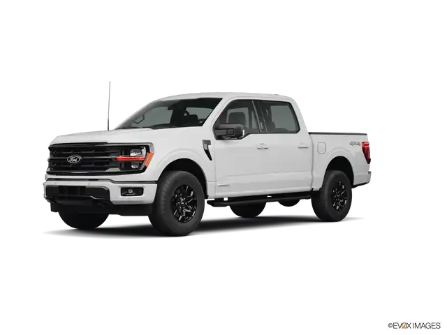 2024 Ford F-150 XLT 4x4 SuperCrew 5-1/2 Box's photo