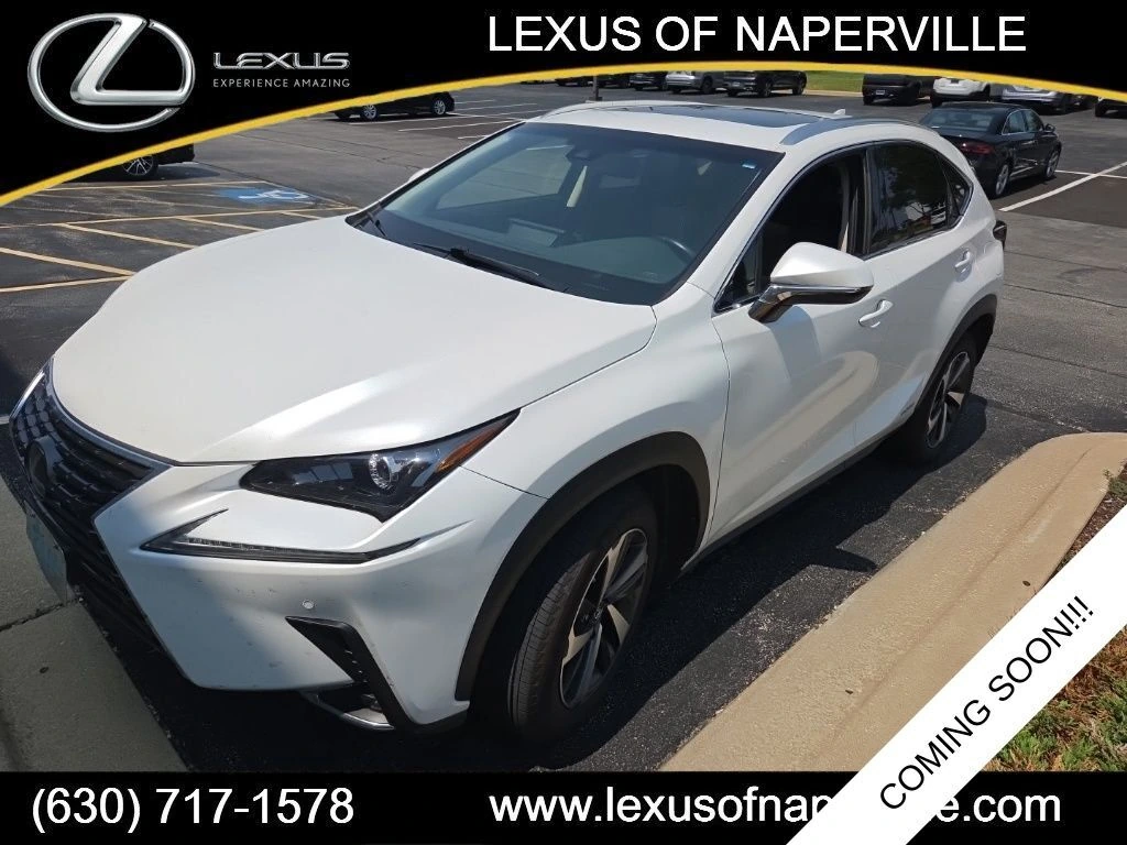 2019 Lexus NX 350h 300h AWD's photo