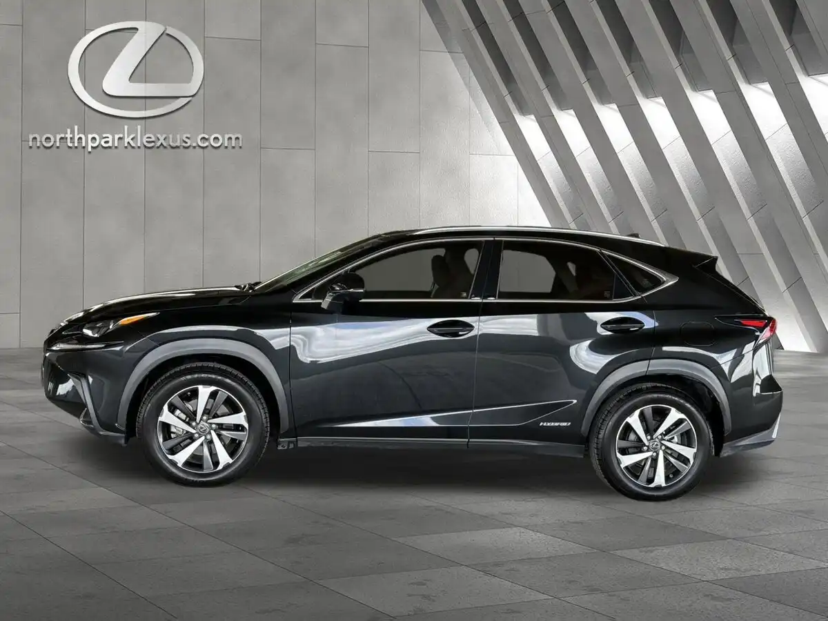 2020 Lexus NX 350h 300h AWD's photo