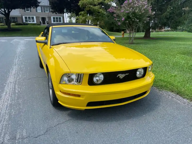 2006 Ford Mustang GT Deluxe's photo