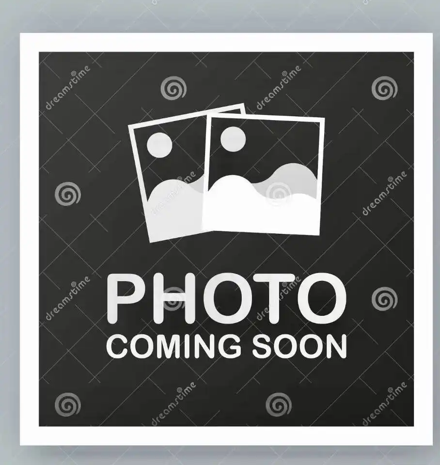 2019 Nissan Leaf S's photo