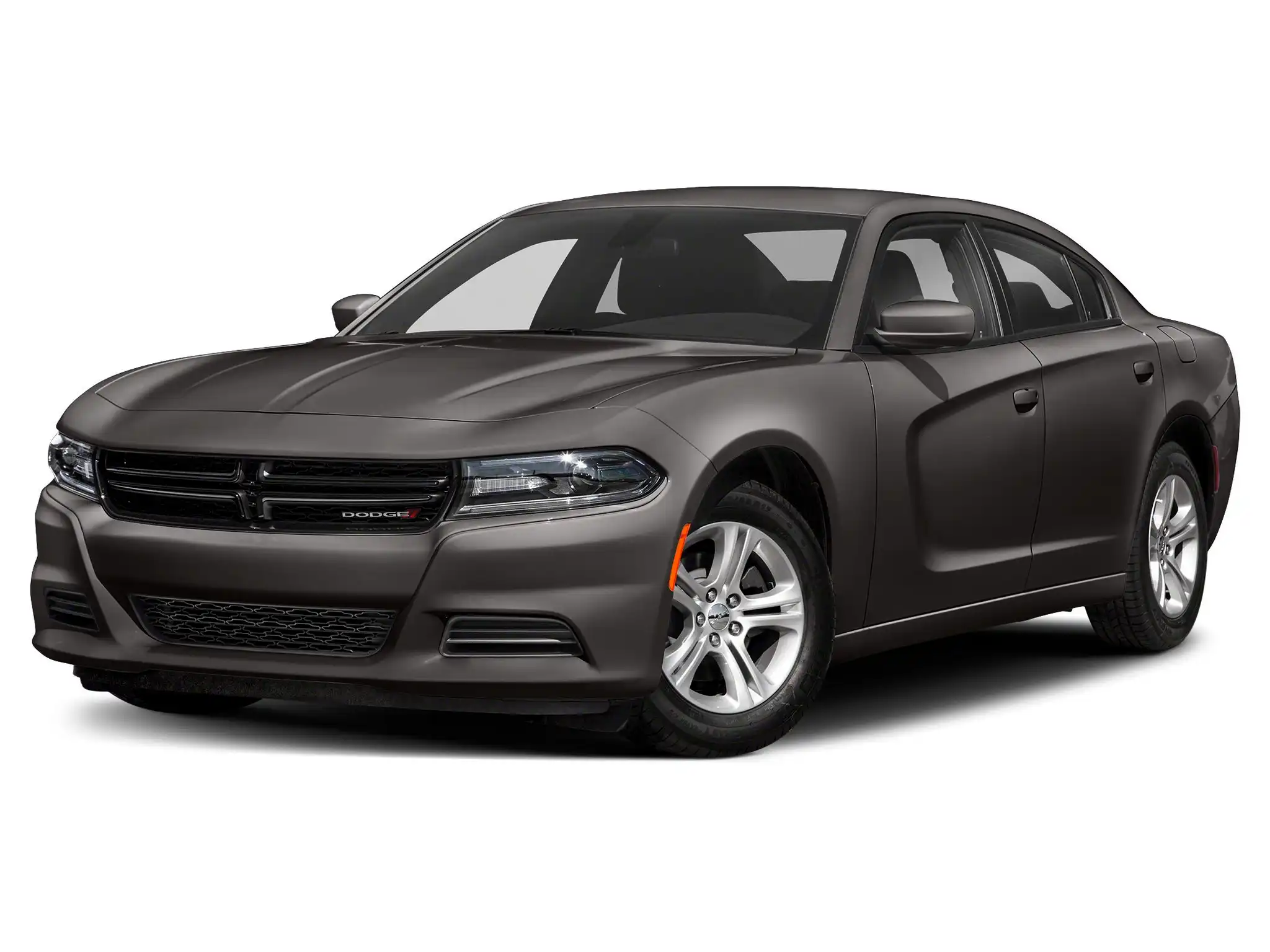 2019 Dodge Charger SXT's photo
