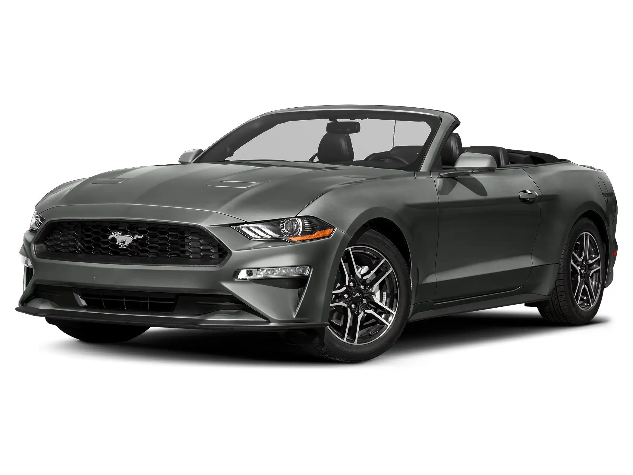 2019 Ford Mustang GT Convertible Premium's photo