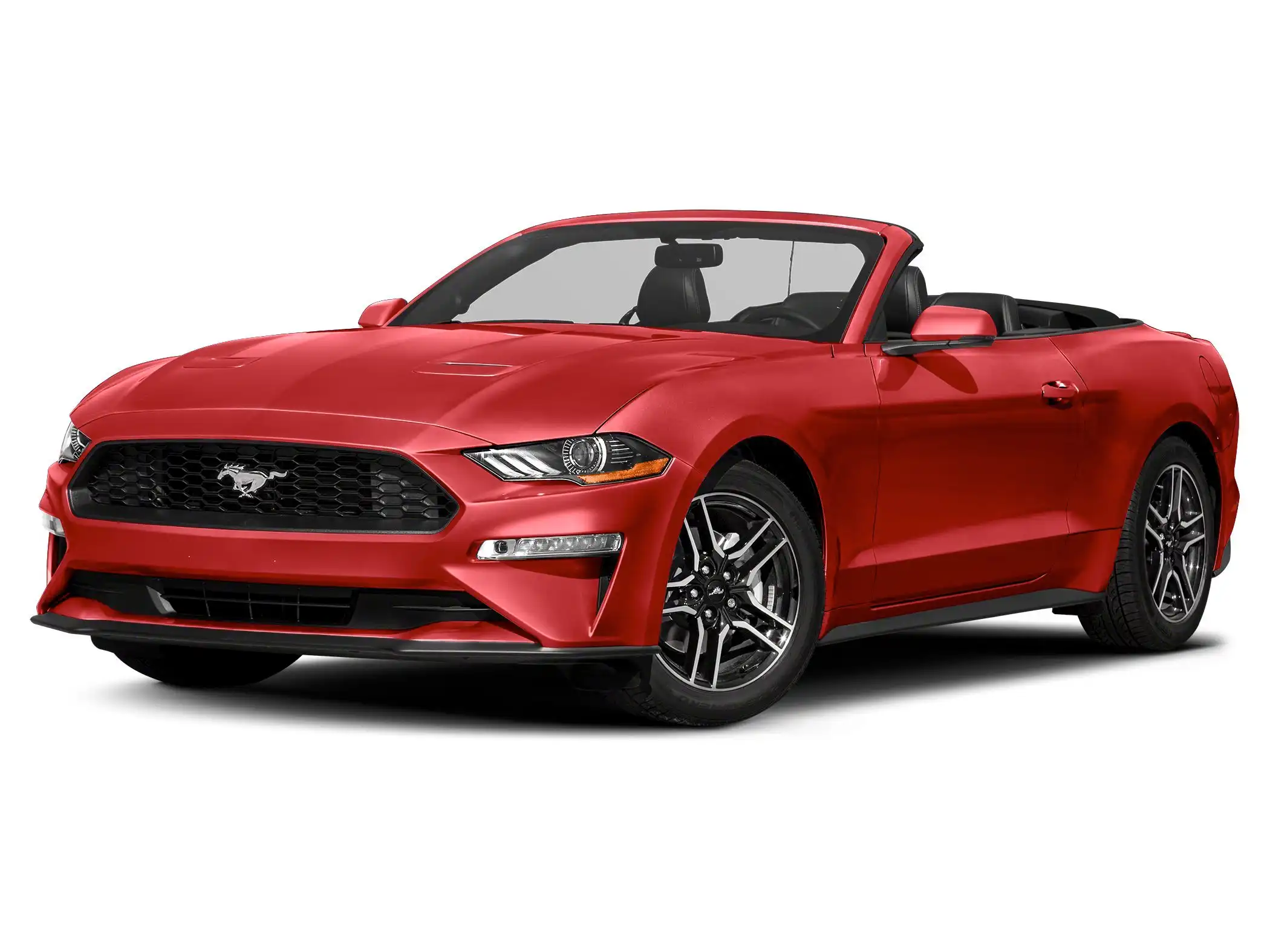 2019 Ford Mustang GT Convertible Premium's photo