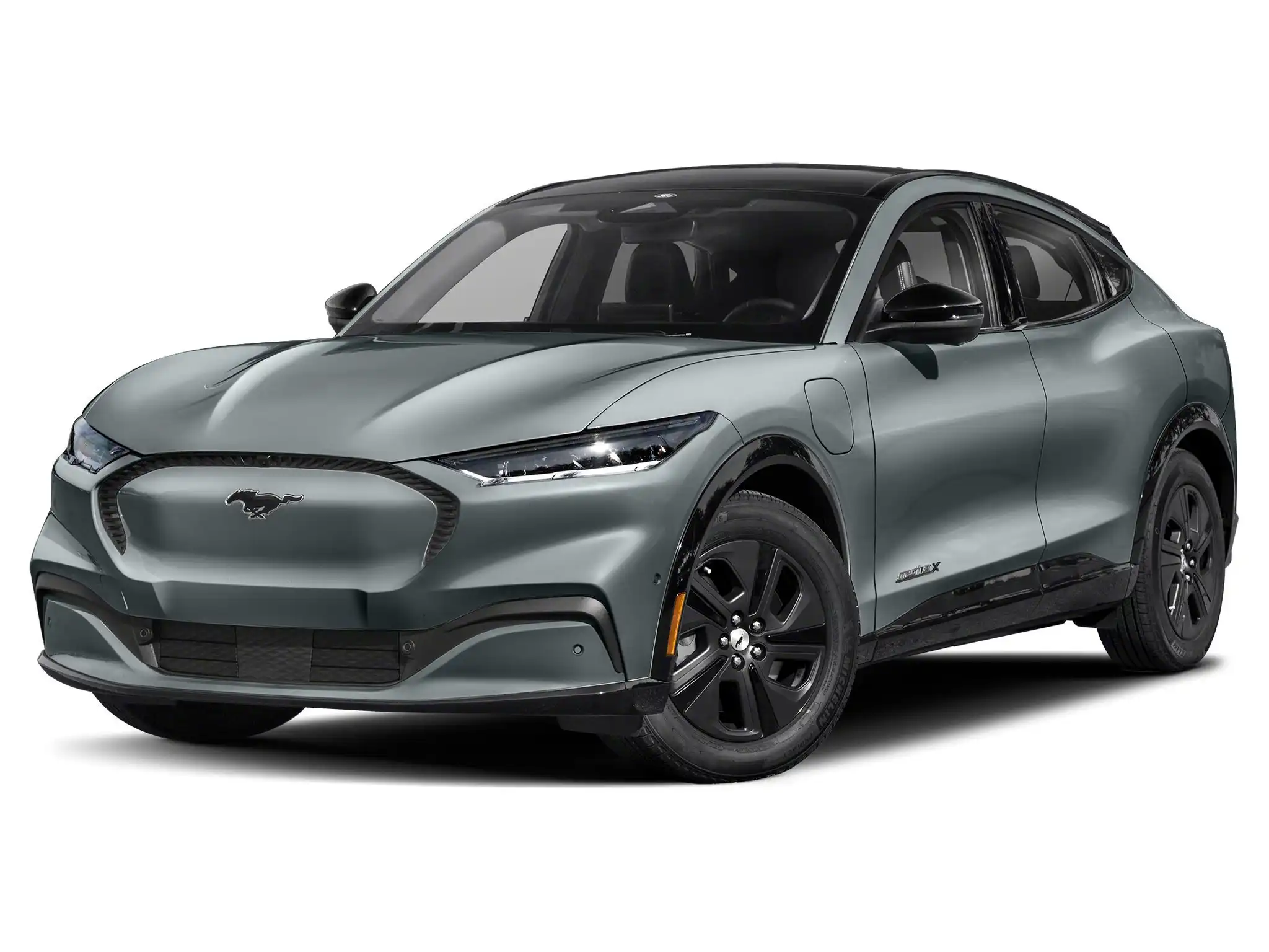 2023 Ford Mustang-Mach-e California Route 1's photo