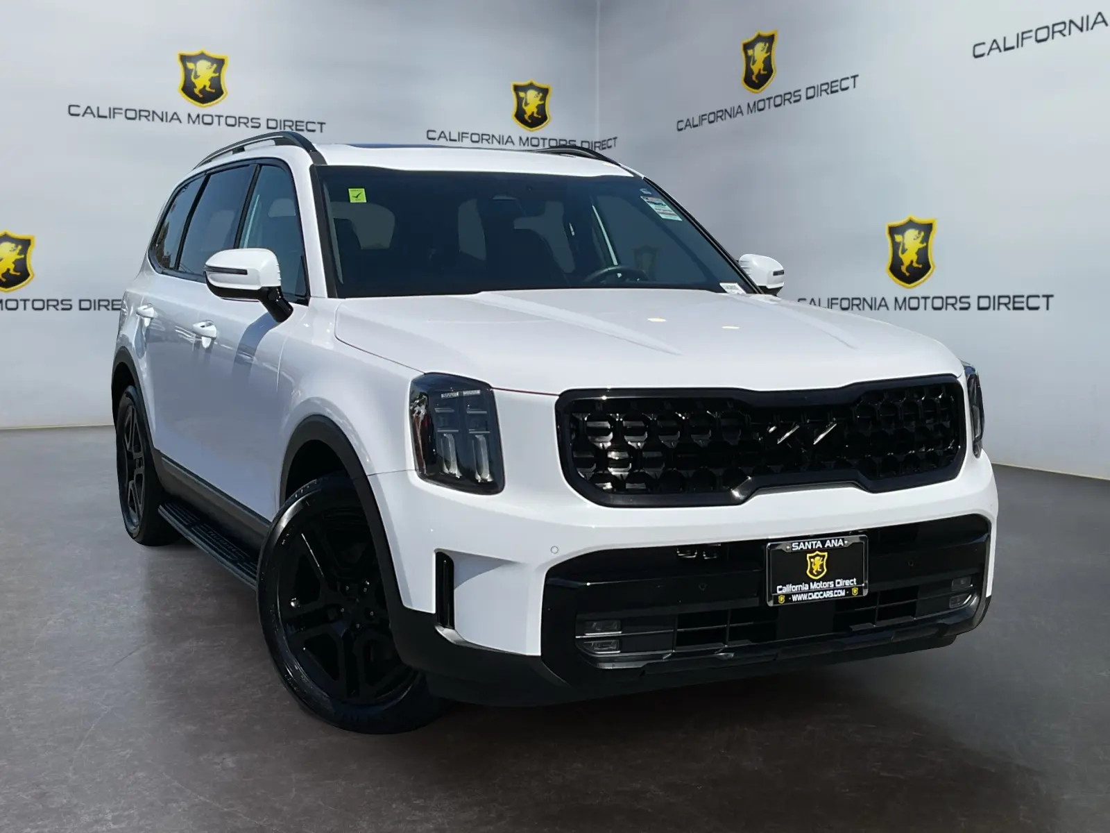 2025 Kia Telluride SX Prestige AWD X-Line photo 3