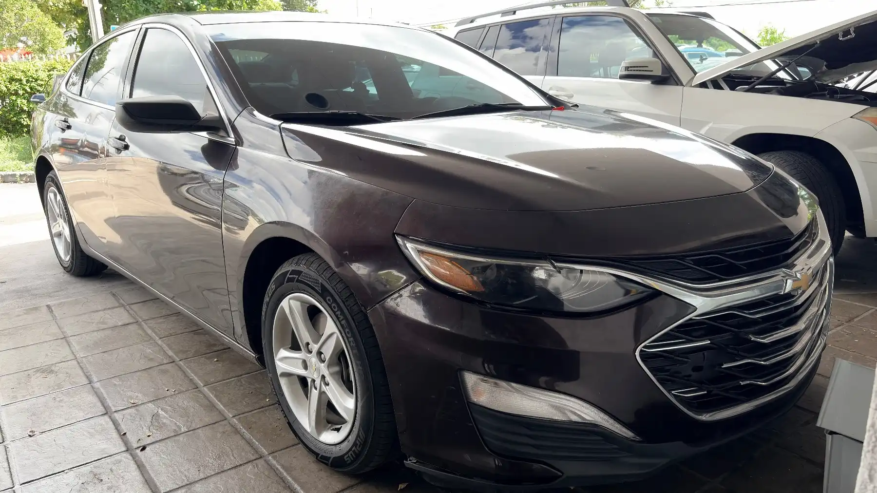 2020 Chevrolet Malibu 1LS's photo