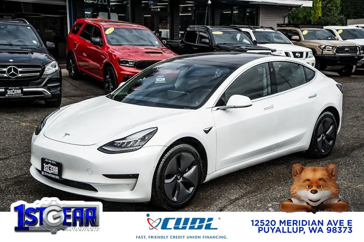 2020 Tesla Model 3 Standard Range Plus's photo