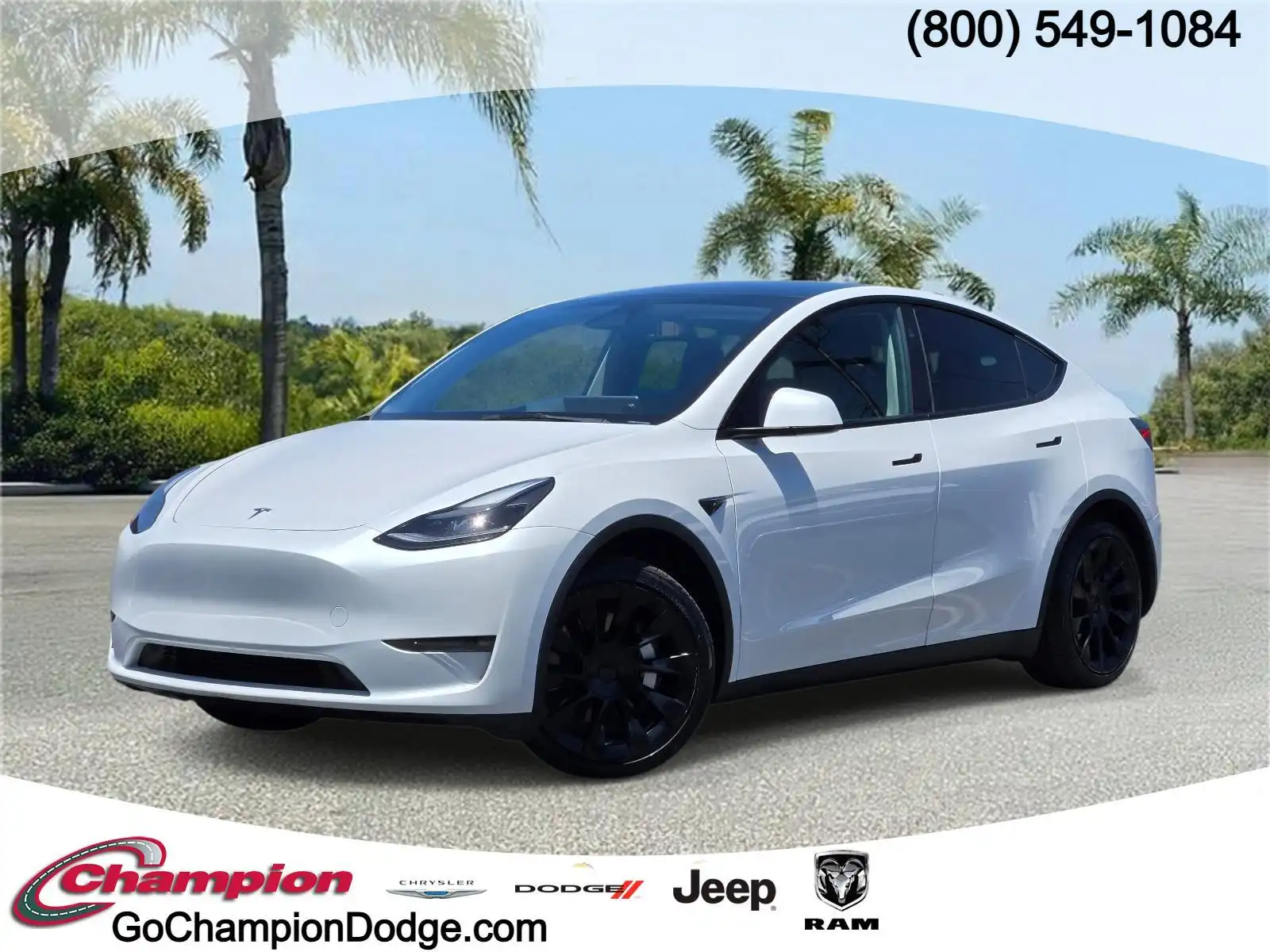 2023 Tesla Model Y Long Range Dual Motor All-Wheel Drive's photo