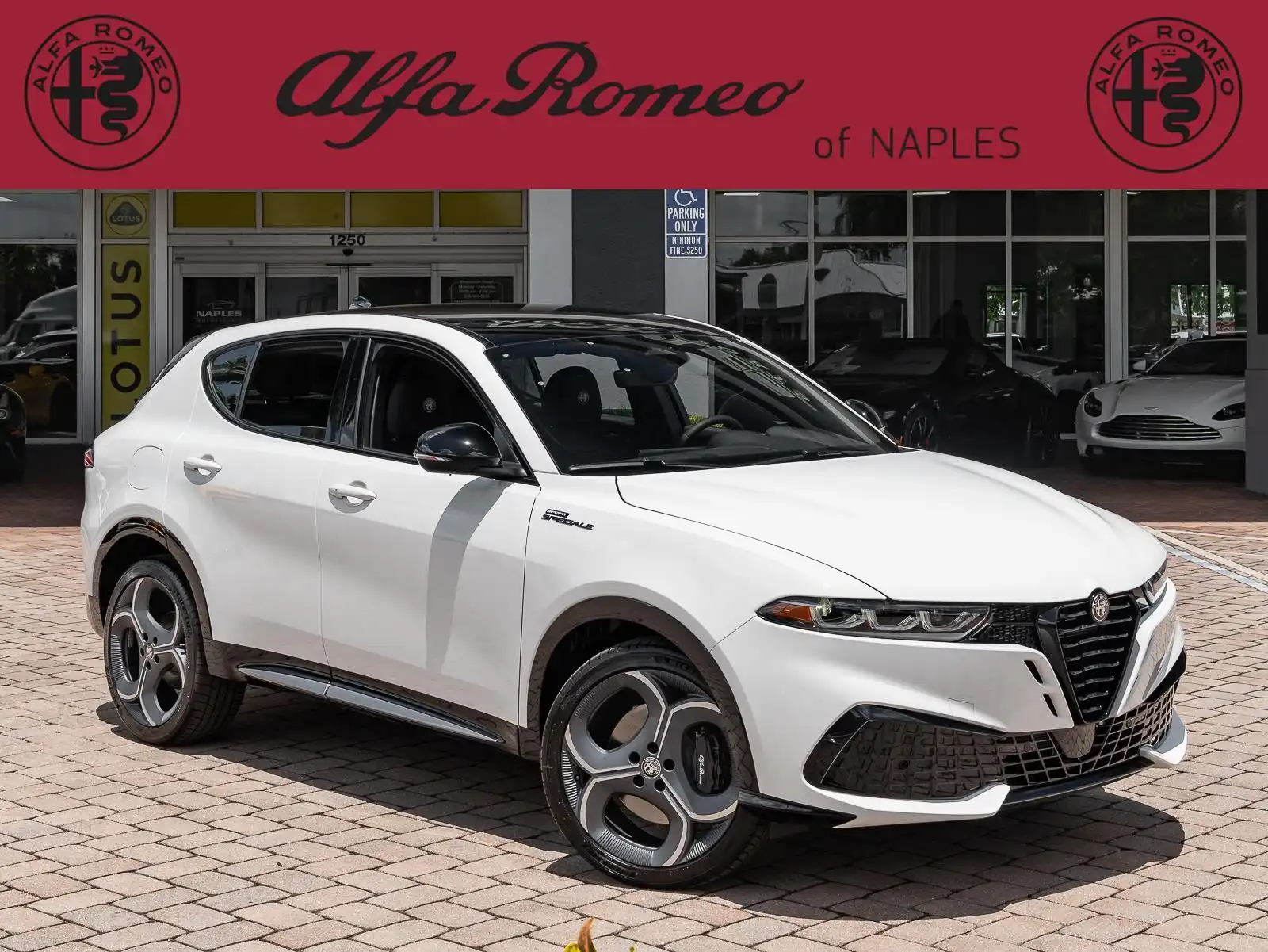 2026 Alfa Romeo Tonale 2.0 Sport Speciale's photo