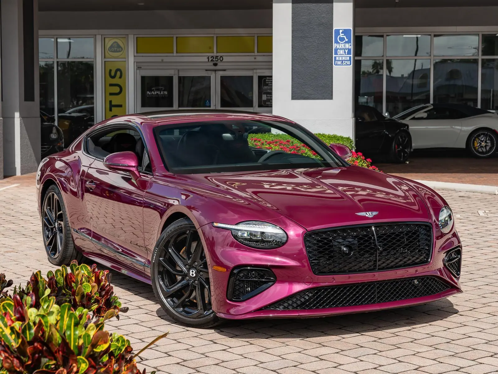 2025 Bentley Continental GT Speed photo 3