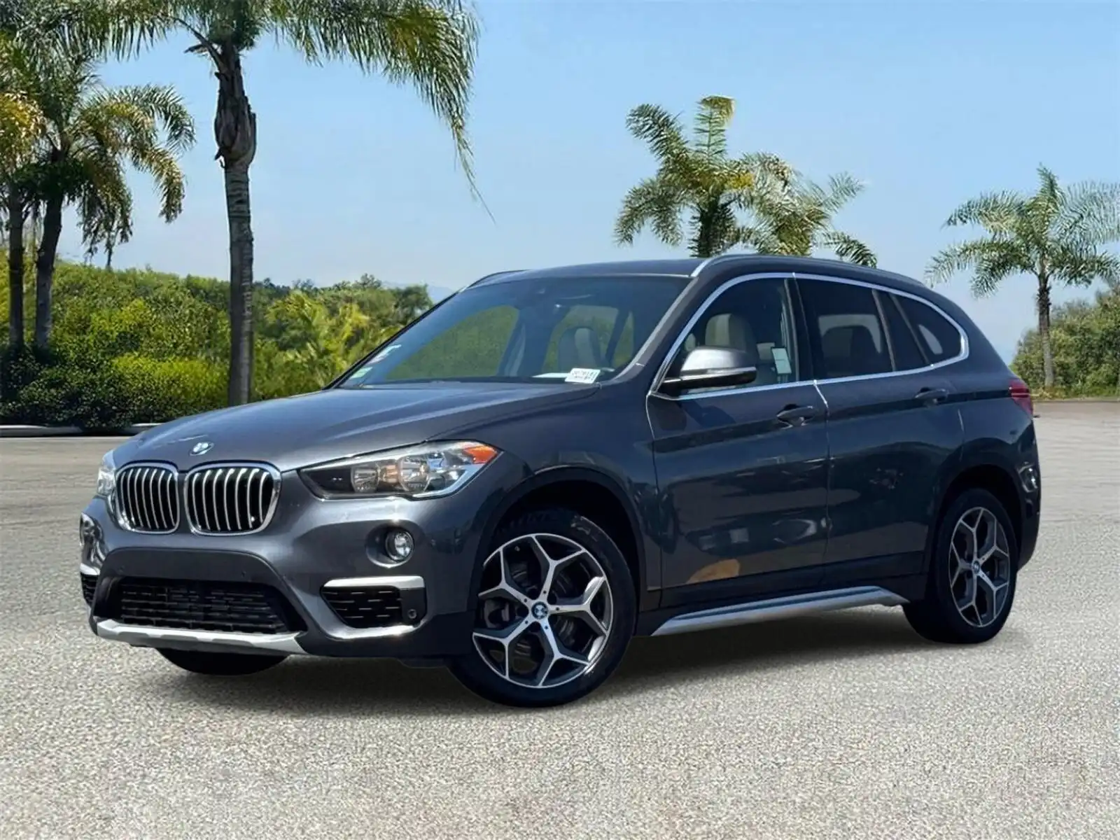 2019 BMW X1 sDrive28i's photo