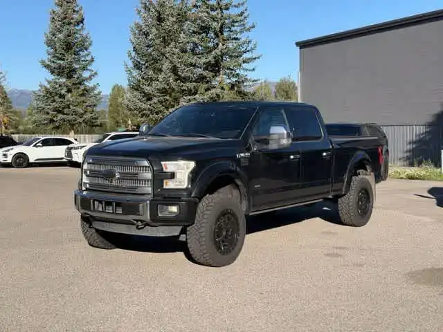 2015 Ford F-150 Platinum 4WD SuperCrew 145 in's photo