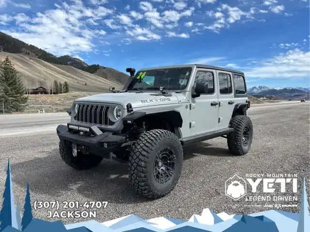 2024 Jeep Wrangler Willys's photo